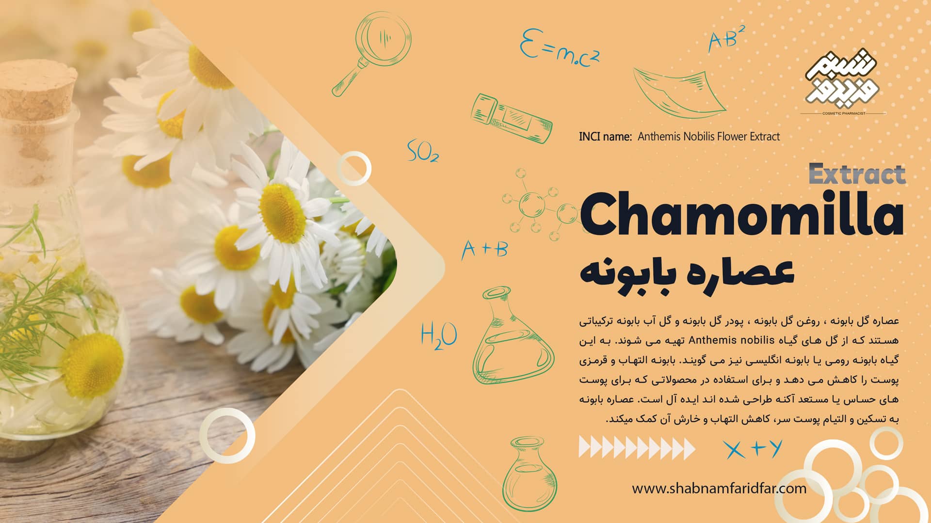 عصاره بابونه در کازمتیک