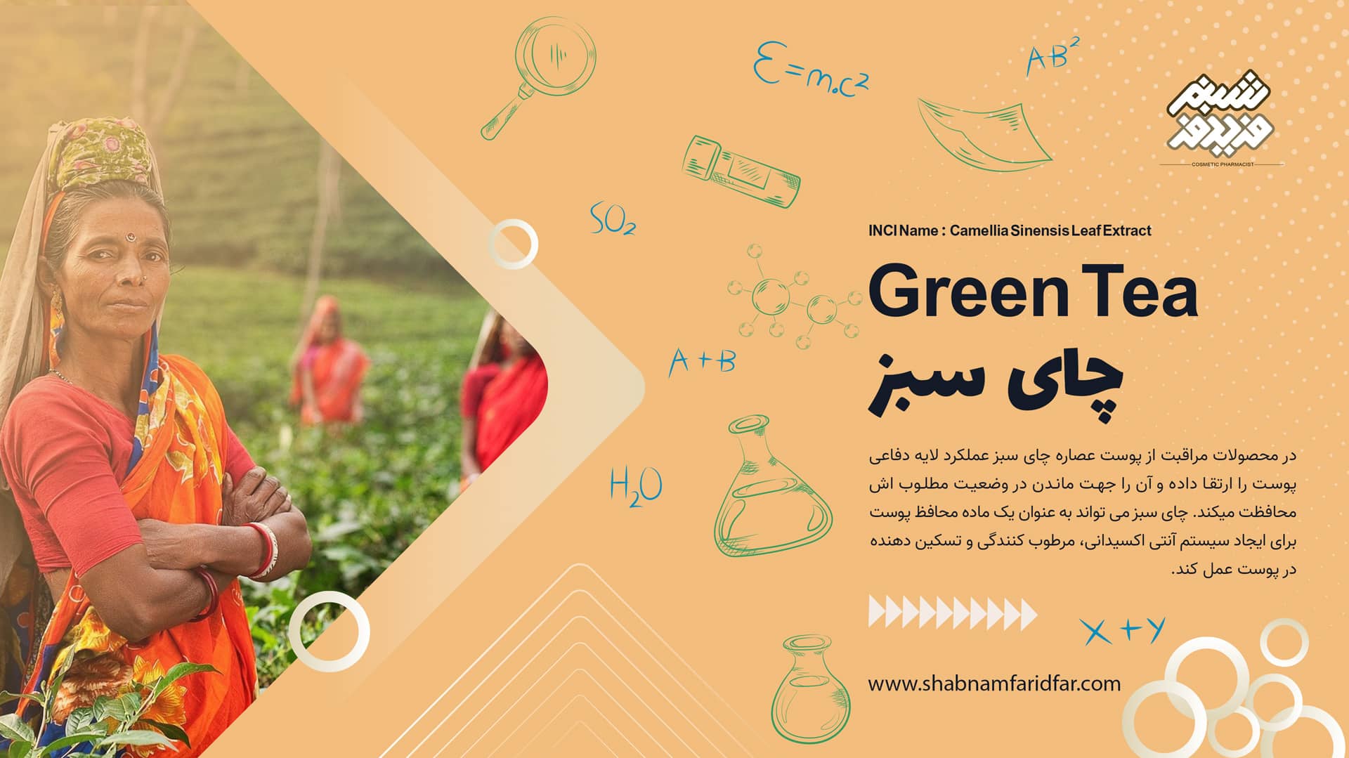 عصاره چای سبز در کازمتیک