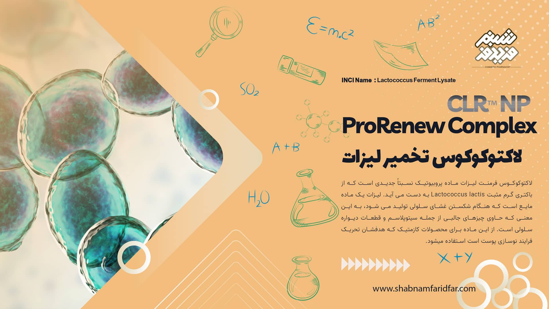 لاکتوکوکوس تخمیر لیزات