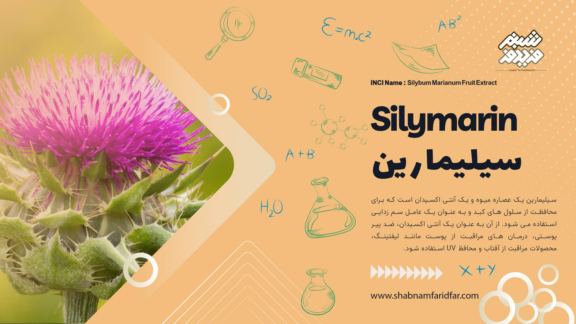 عصاره سیلیمارین در کازمتیک