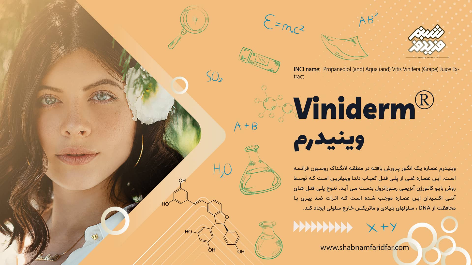 وینیدرم