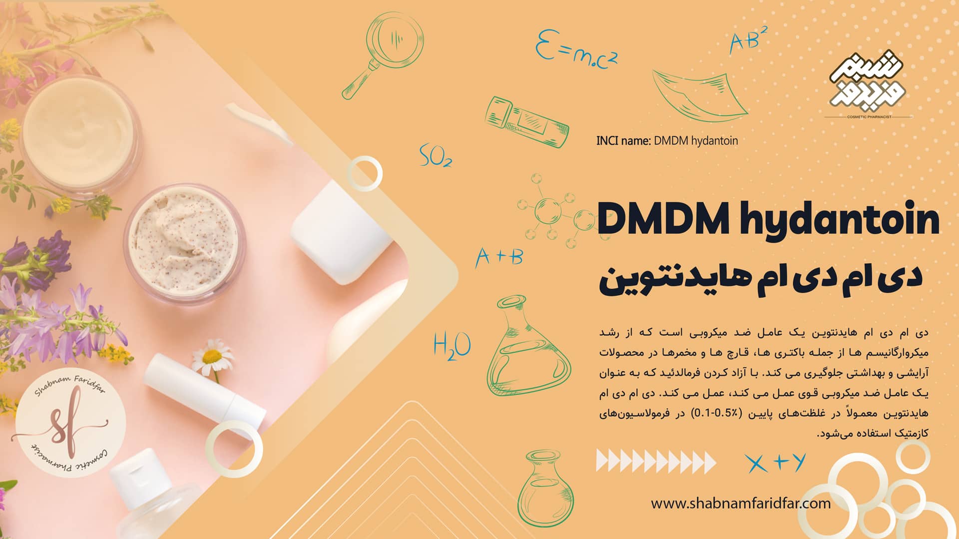 دی ام دی ام هایدنتوین